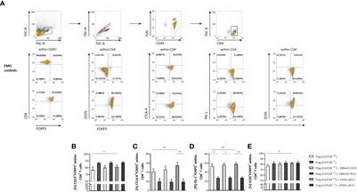 Human chorionic gonadotropin promotes murine Treg cells and restricts pregnancy-harmful proinflammatory Th17 responses